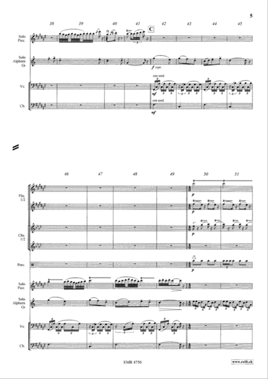 Capriccio Sur Deux Chants Populaires Orchestra scores gallery preview page 5
