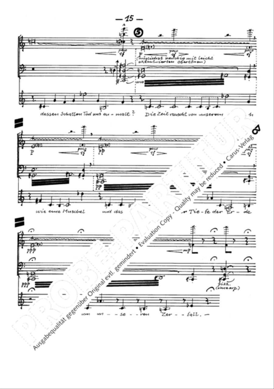 Todesblumen Flute scores gallery preview page 18