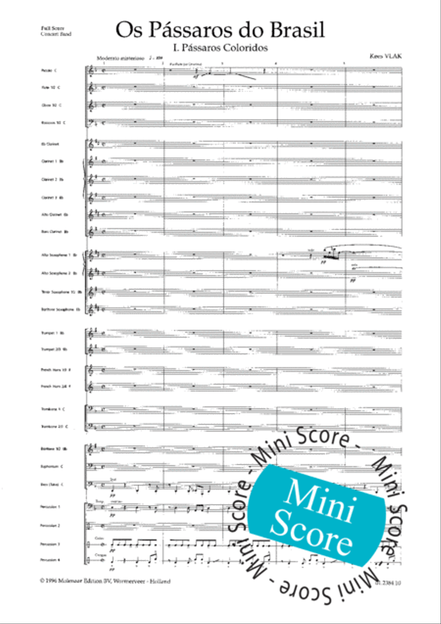 Os Passaros Do Brasil Concert Band scores gallery preview page 9