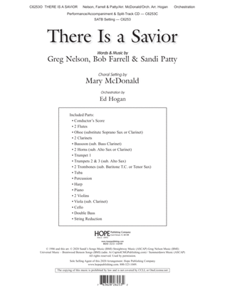 Book cover for There Is A Savior
