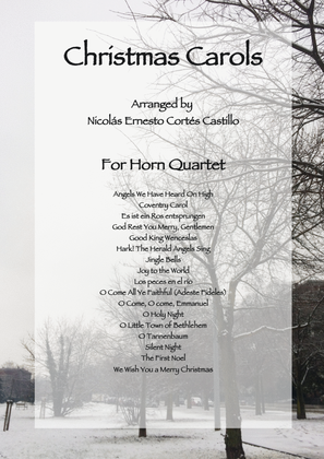 Book cover for 17 Christmas Carols for Horn Quartet