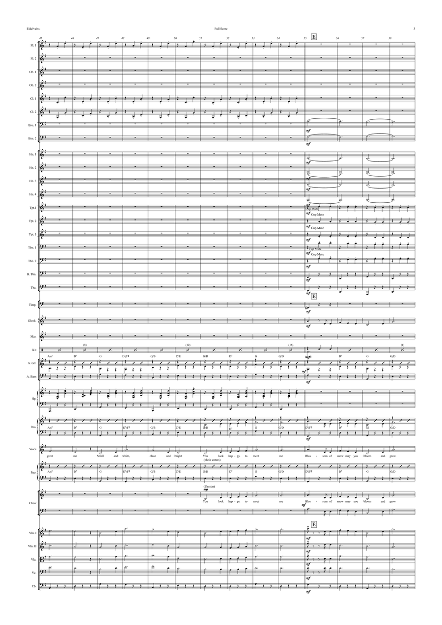 Edelweiss Full Orchestra scores gallery preview page 3