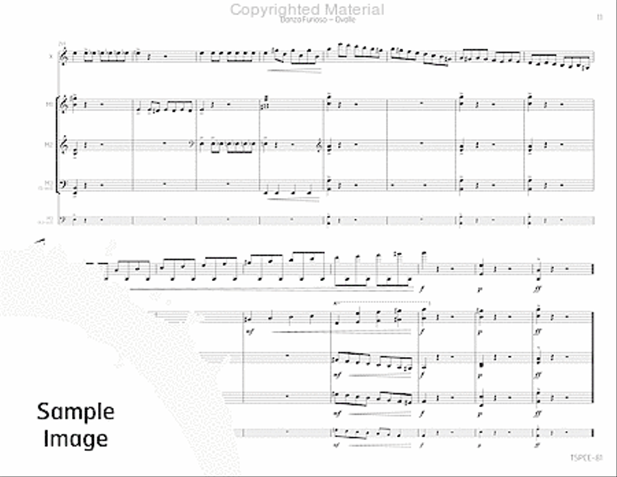 Danza Furioso Percussion Ensemble scores gallery preview page 14