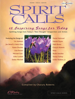 Book cover for Spirit Calls