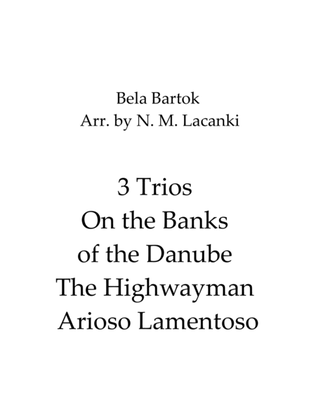 On the Banks of the Danube, The Highwayman and Arioso Lamentoso