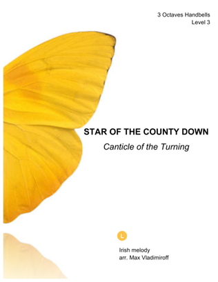 STAR OF THE COUNTY DOWN (Canticle of the Turning)
