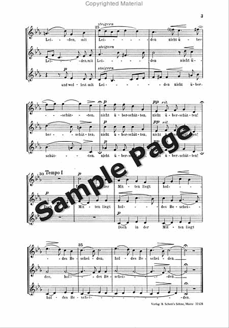 Rein W Herr Schicke Rein W Herr Schicke SMezA scores gallery preview page 4