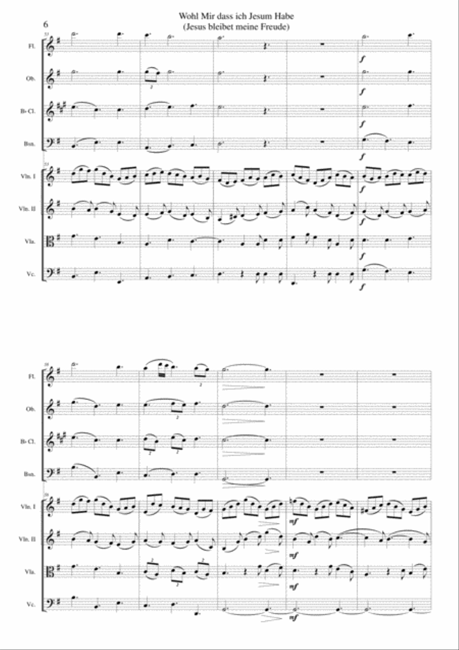 Wohl mir dass ich Jesum habe (Jesu joy of man's desiring) for wind quartet and strings Clarinet scores gallery preview page 6