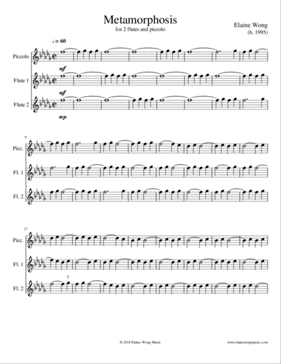 Metamorphosis: for 2 flutes and piccolo Woodwind Trio scores gallery preview page 2