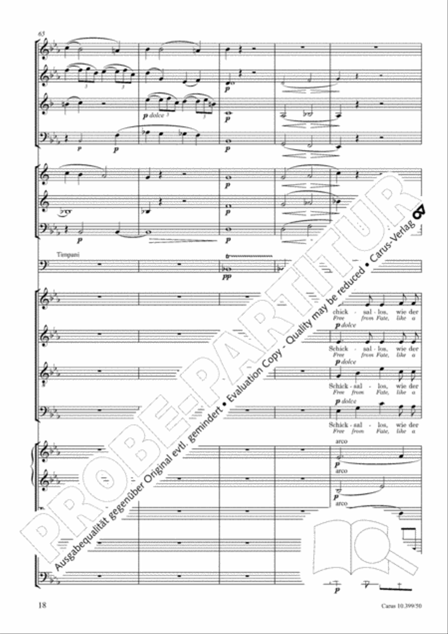 Schicksalslied, Op. 54 Choir scores gallery preview page 19