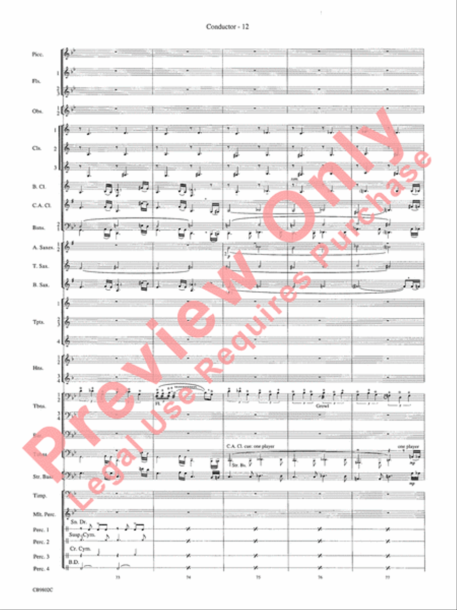 Porgy and Bess Concert Band scores gallery preview page 14
