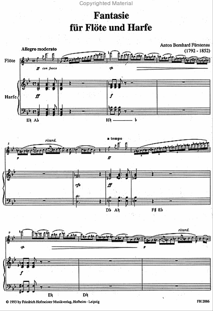 Fantasie Flute scores gallery preview page 2