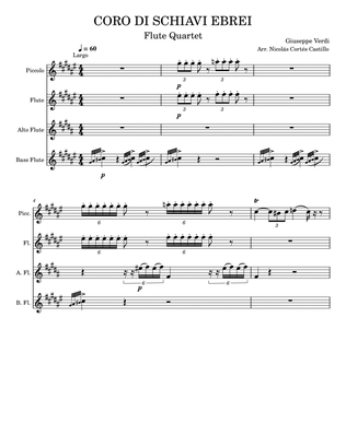 Book cover for Giuseppe Verdi (1813-1901) - Va, Pensiero (Chorus of the Hebrew Slaves) from Nabucco, Arr. for Flute