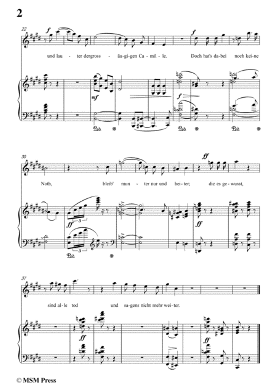 Richard Strauss-Die Verschwiegenen in c sharp minor,for Voice and Piano Voice Solo scores gallery preview page 4
