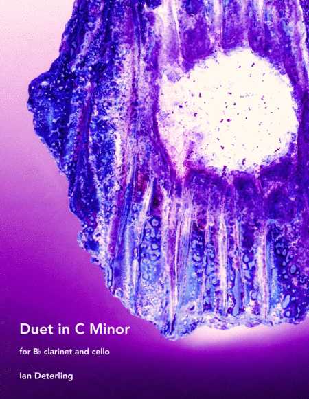 Duet in C Minor (for Clarinet and Cello) image number null