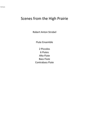 Book cover for Scenes from the High Prairie