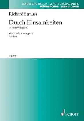 Book cover for Durch Einsamkeiten
