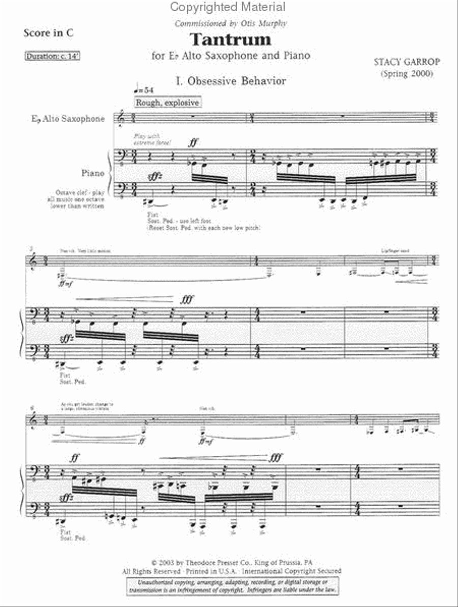 Tantrum Chamber Music scores gallery preview page 2