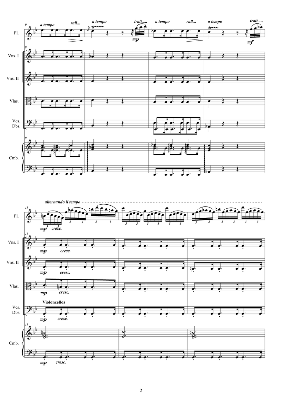 Vivaldi - Flute Concerto No.2 in G minor 'La Notte' Op.10 RV 439 for Flute, Strings and Cembalo Chamber Orchestra scores gallery preview page 2