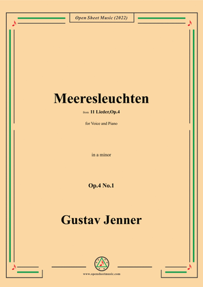 Jenner-Meeresleuchten,in a minor,Op.4 No.1