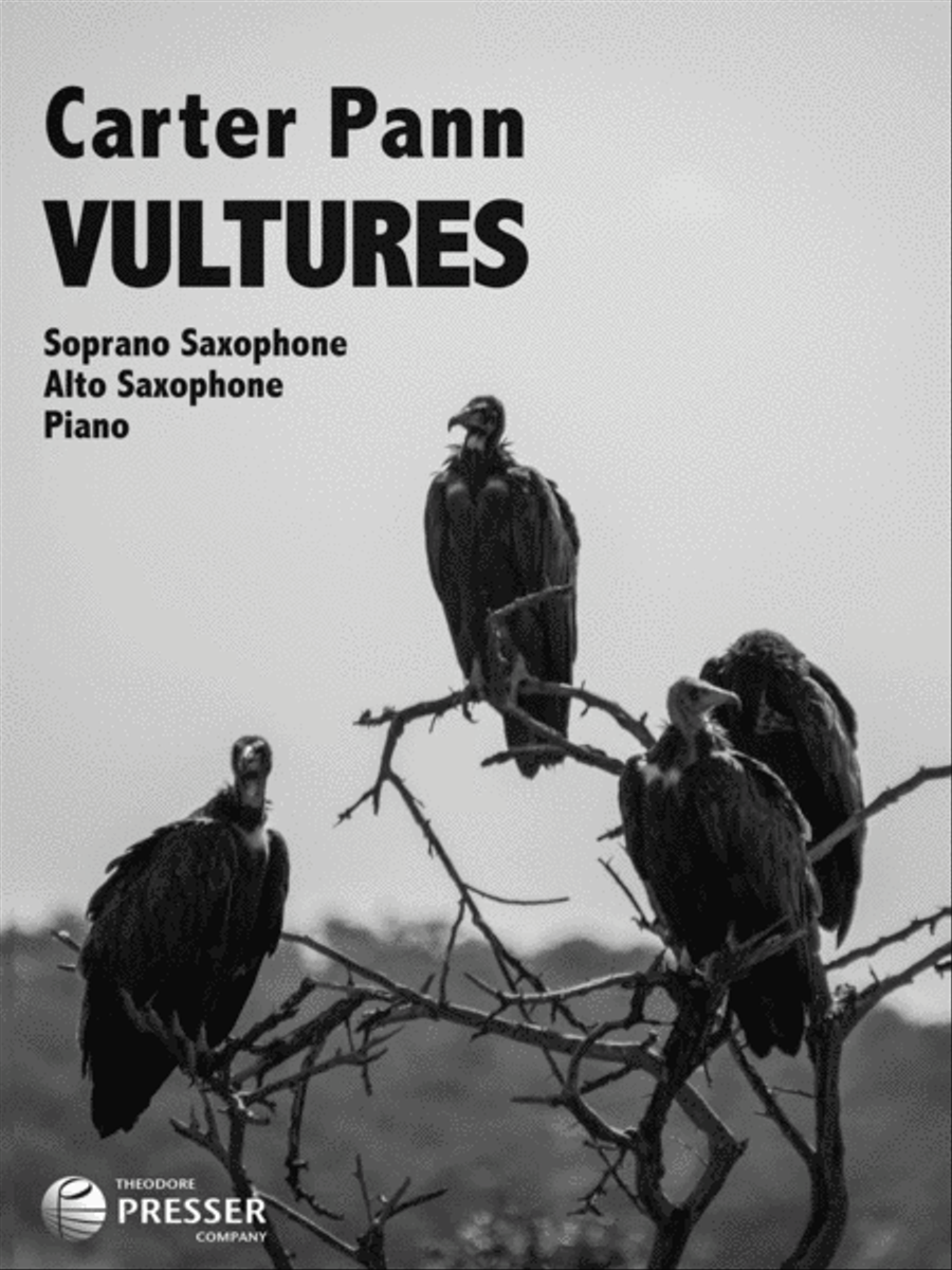 Vultures Vultures Chamber Music scores gallery preview page 2