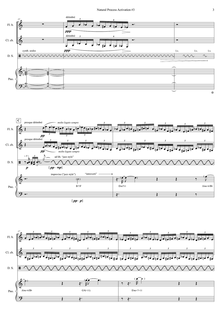 Natural Process Activation #3 BLOOM - for bass flute, contrabass clarinet, piano & drums Small Ensemble scores gallery preview page 3