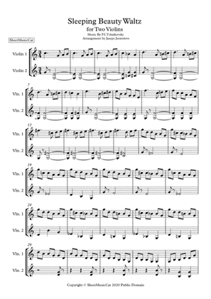 Tchaikovsky - Sleeping Beauty Waltz for Two Violins