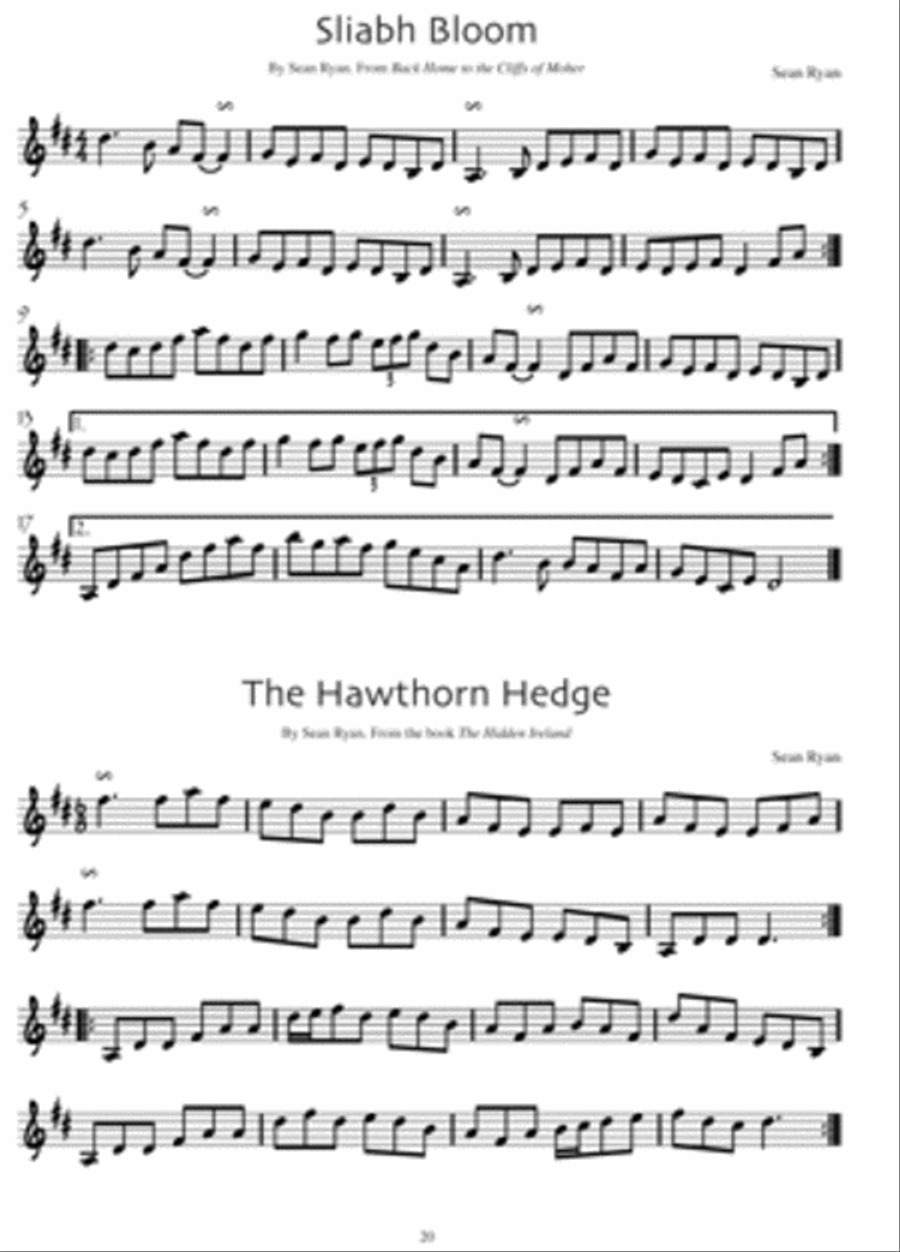 Handy with the Stick Violin scores gallery preview page 3