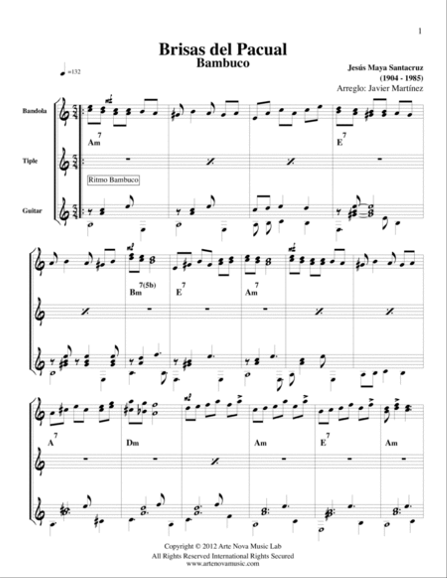 Brisas del Pacual Brisas del Pacual Acoustic Guitar scores gallery preview page 2