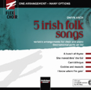 5 Irish Folk Songs - The CD+