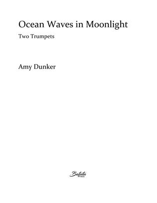 Ocean Waves in Moonlight