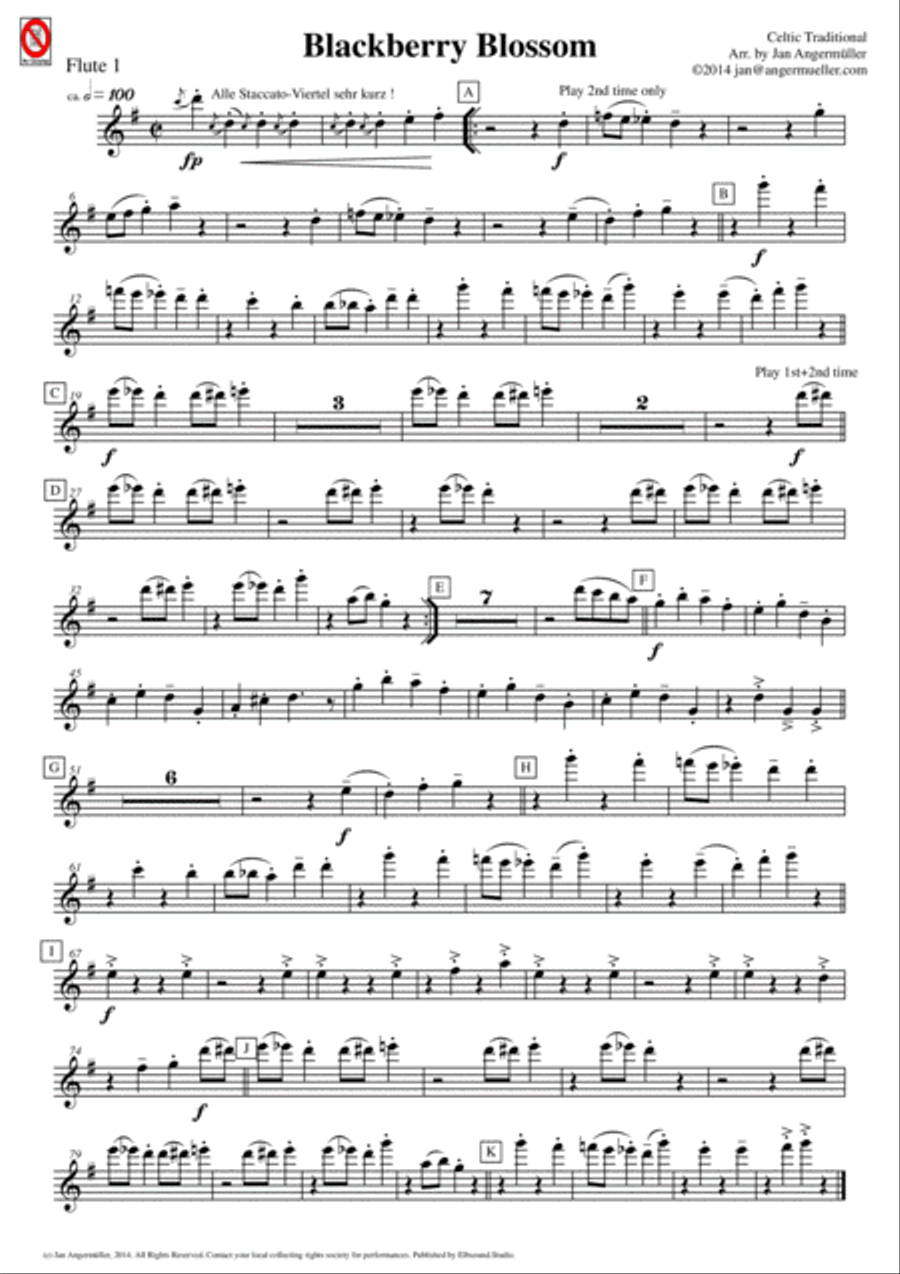 Blackberry Blossom (for mixed school orchestra) Chamber Orchestra scores gallery preview page 6