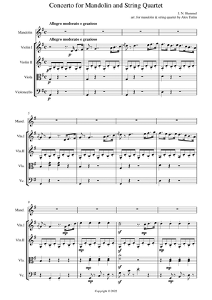 Concerto for Mandolin G major