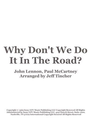Book cover for Why Don't We Do It In The Road