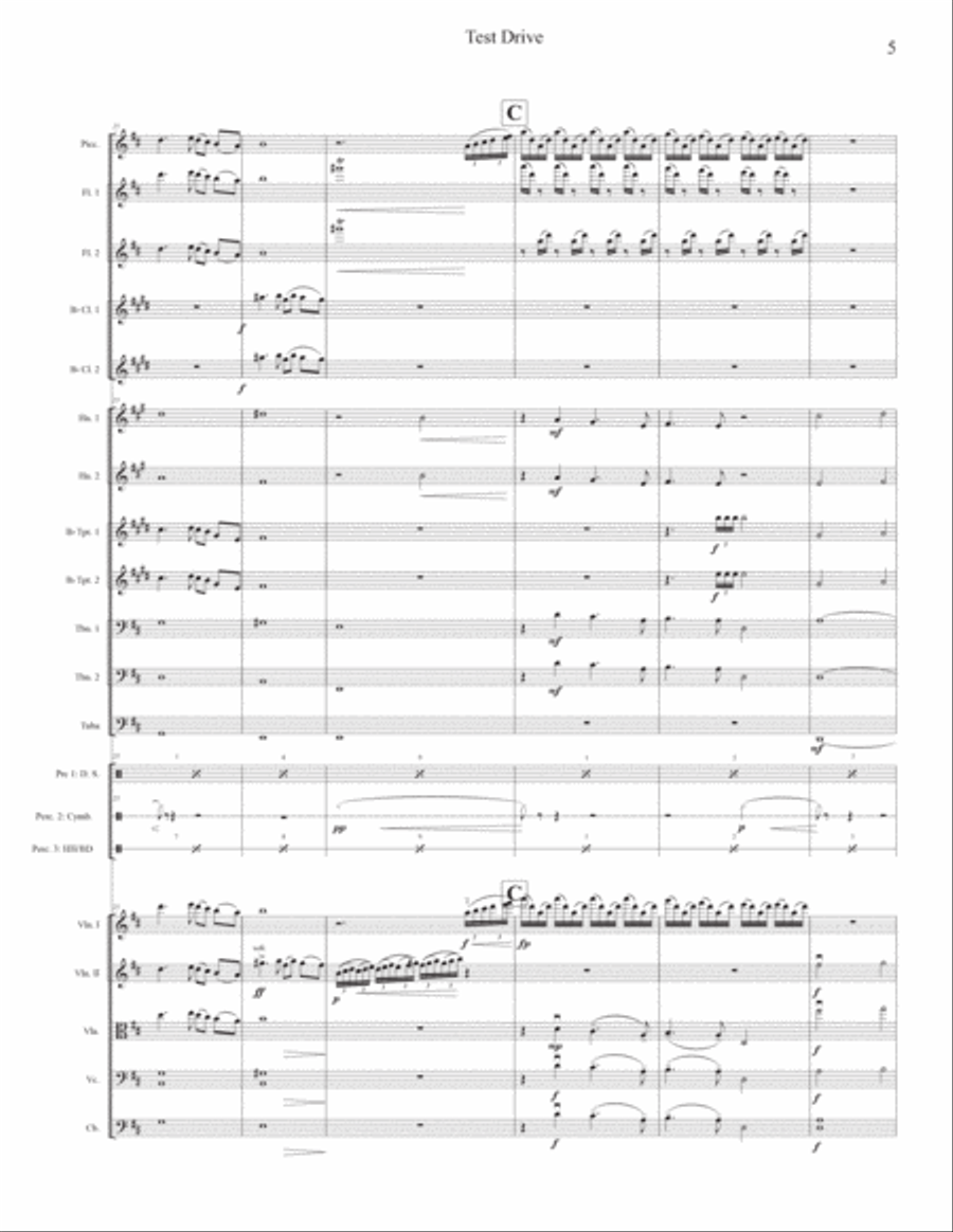 Test Drive Full Orchestra scores gallery preview page 5