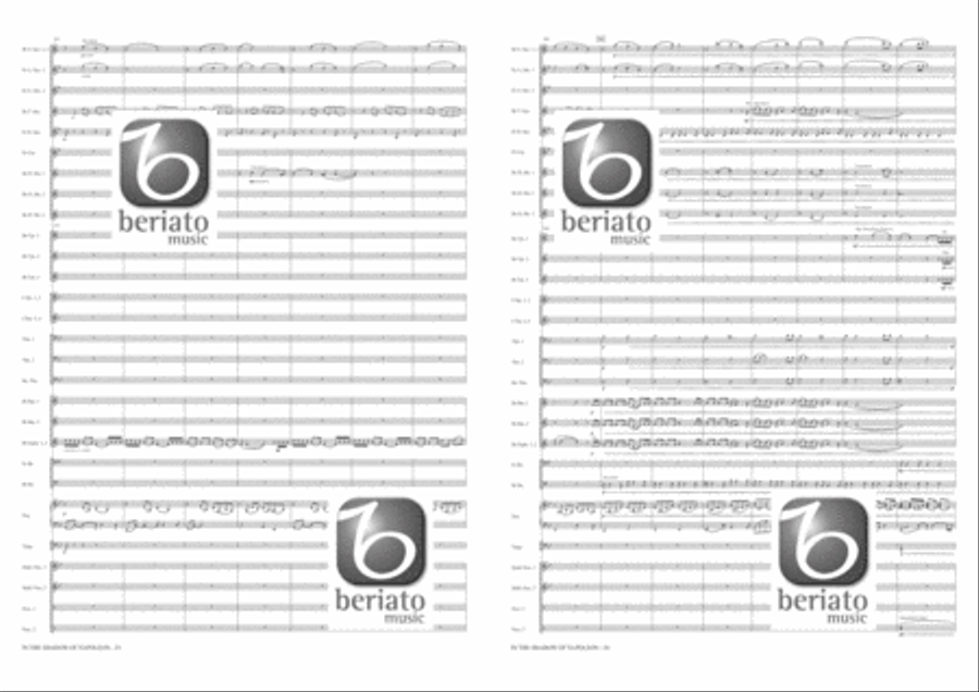 In the Shadow of Napoleon Fanfare Band scores gallery preview page 14