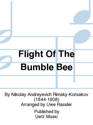 Book cover for Flight Of The Bumble Bee