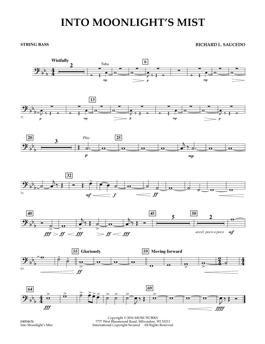 Into Moonlight's Mist - String Bass Double Bass scores gallery preview page 1