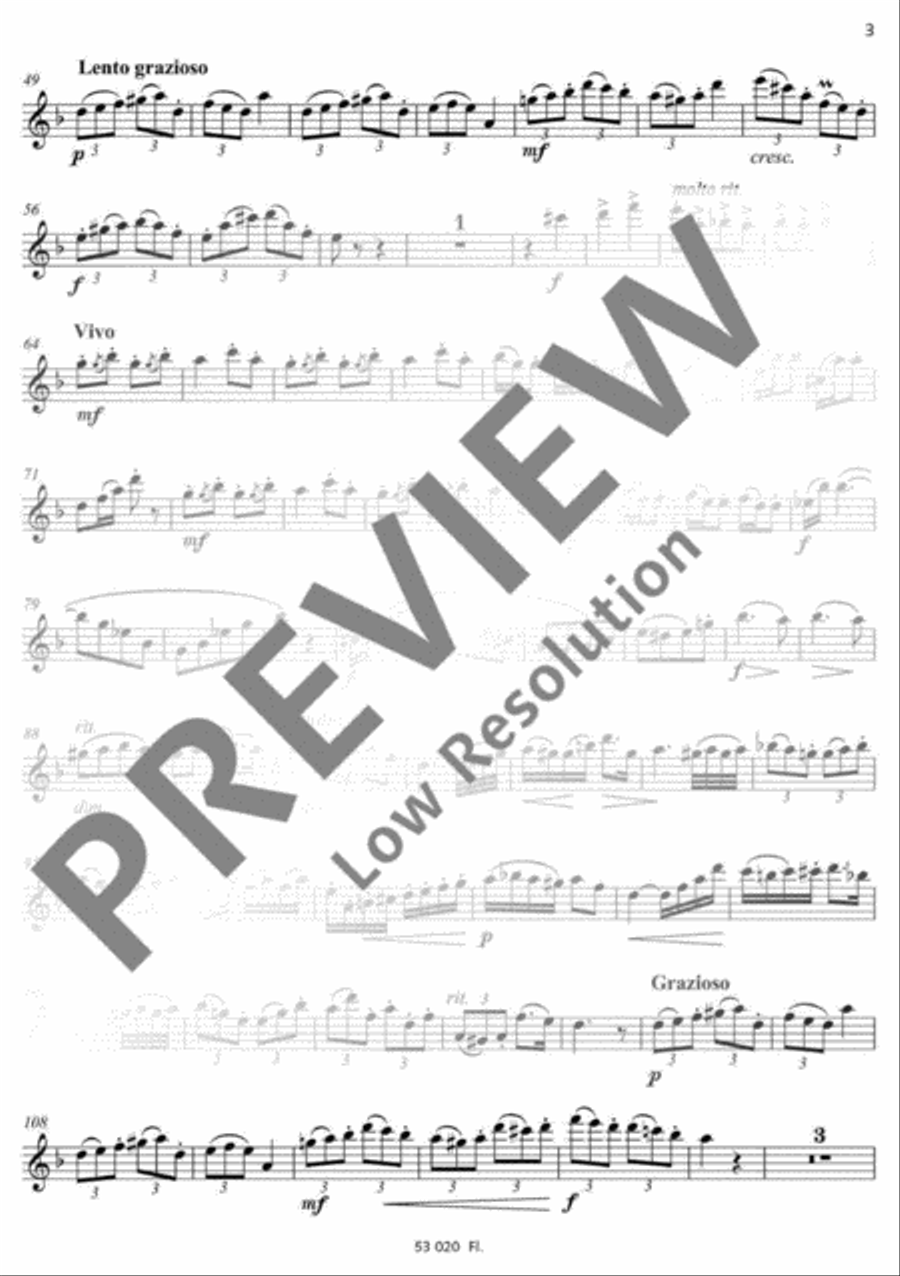 Russian Gypsy Song Flute Solo scores gallery preview page 13