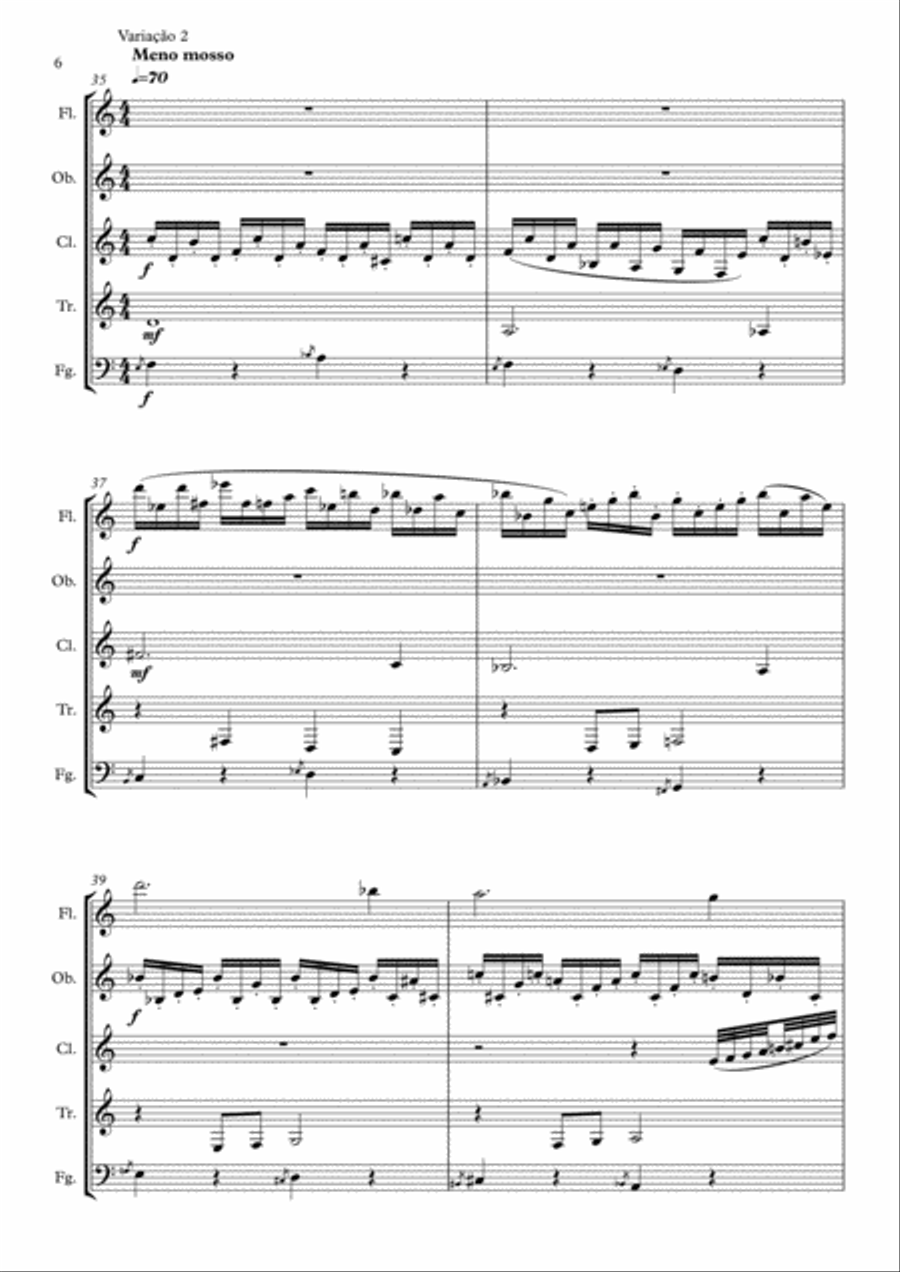 Variações Seresteiras (Woodwind quintet) Woodwind Quintet scores gallery preview page 6