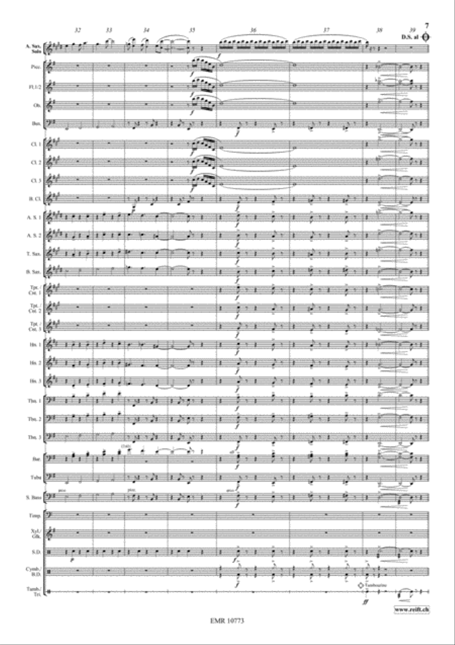 Concerto Piccolo Concerto Piccolo Concert Band scores gallery preview page 7