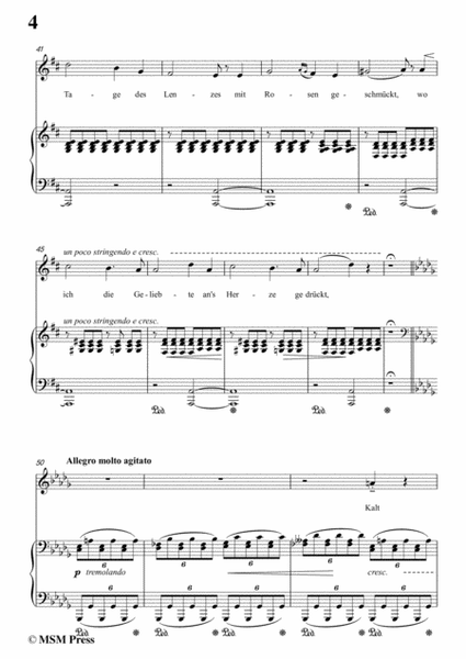 Liszt-Es rauschen die winde in D flat Major,for Voice and Piano image number null