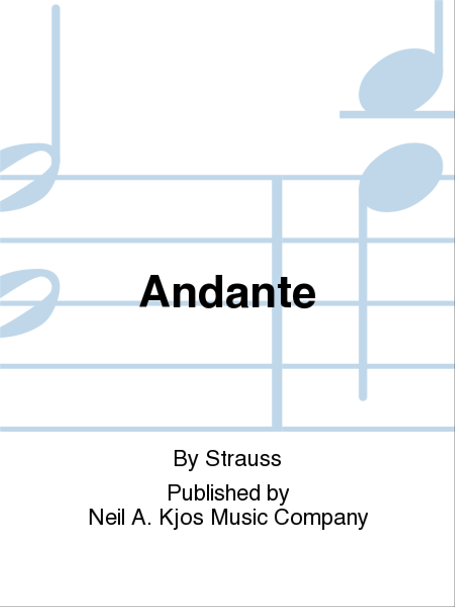 Andante Flute Solo scores gallery preview page 1