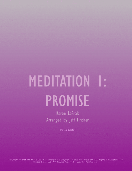 Meditation 1: Promise image number null