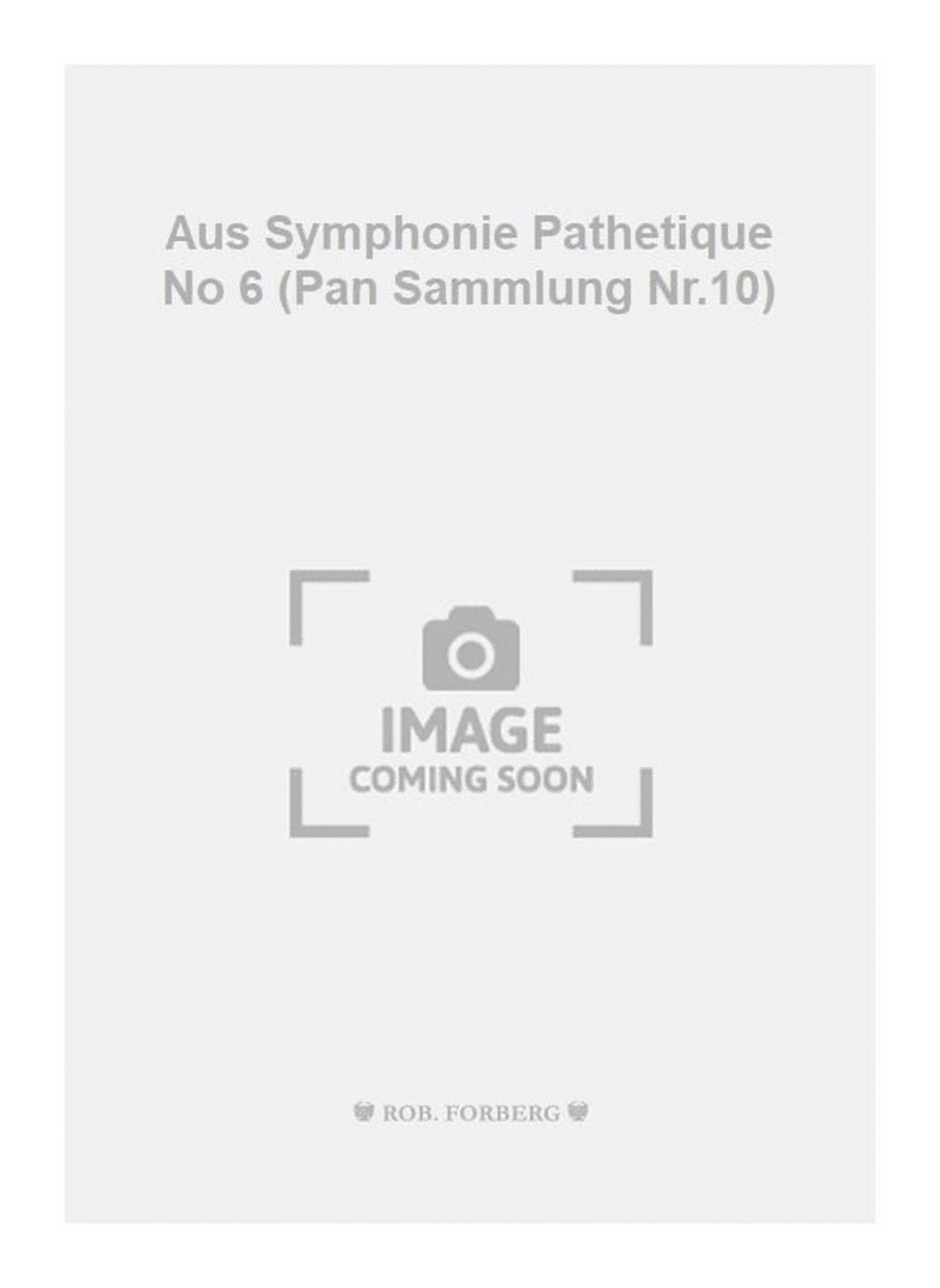 Aus Symphonie Pathetique No 6 (Pan Sammlung Nr.10) Flute Solo scores gallery preview page 1