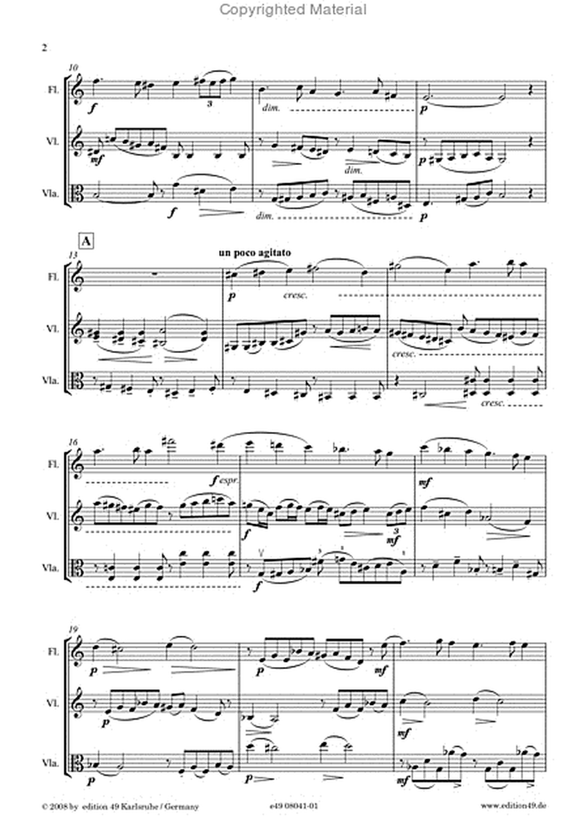 Andante fur Flote, Violine und Bratsche, op. 69d