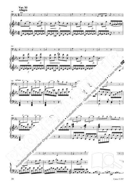 Variations sur un theme russe fur Violoncello und Klavier