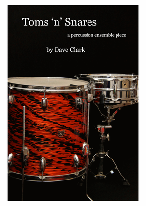 Book cover for Toms 'n' Snares