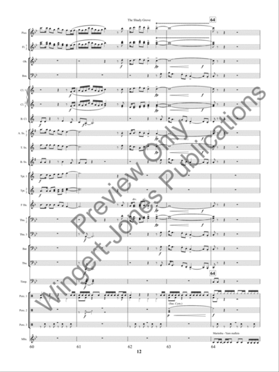 The Shady Grove The Shady Grove Concert Band scores gallery preview page 15
