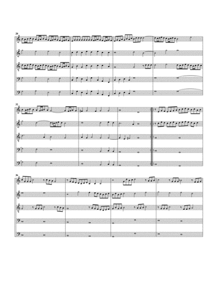 Paduan no.6 SSWV 44 (arrangement for 5 recorders)